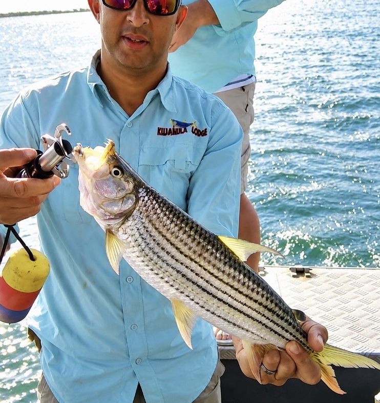 Tiger fish caught on Lake Jozini, held by an angler in a Kujabula Lodge shirt